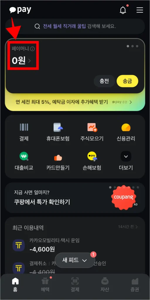 카카오페이에 접속한 후 페이머니를 선택