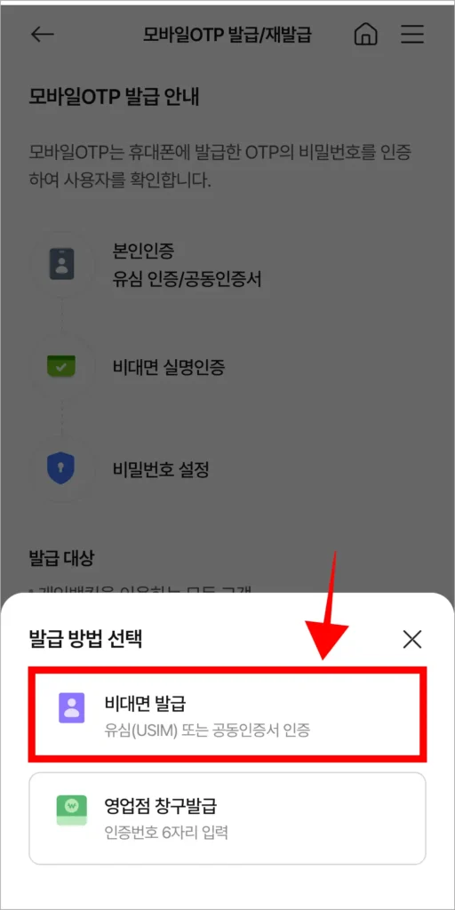 발급 방법으로 '비대면 발급'을 선택