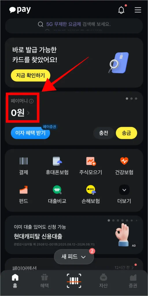 카카오페이에서 페이머니를 선택