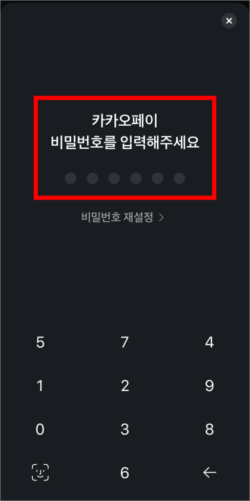 카카오페이 비밀번호를 입력