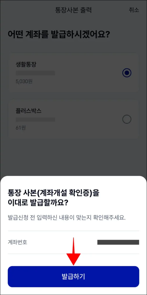 신청 내용을 확인하고, '발급하기'를 선택