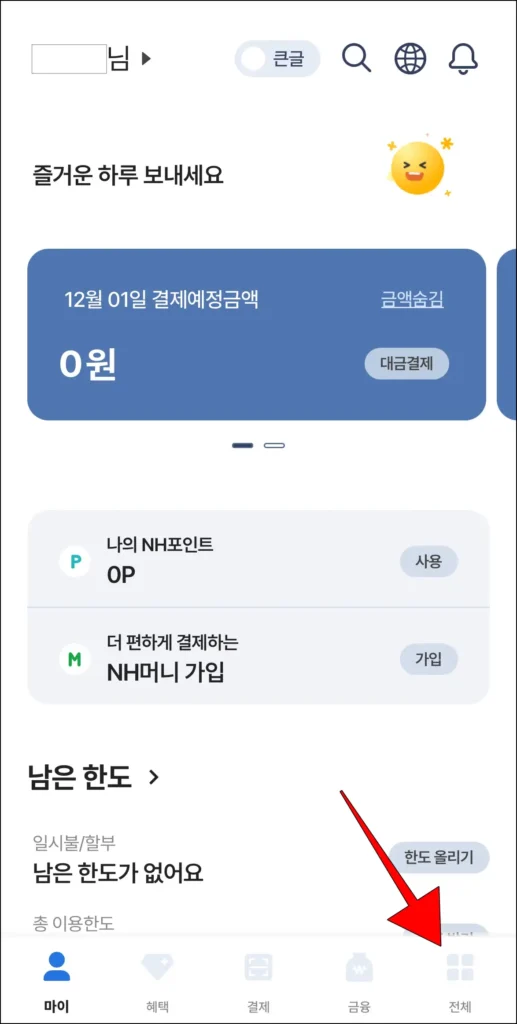 NH pay 앱 하단의 '전체'를 선택