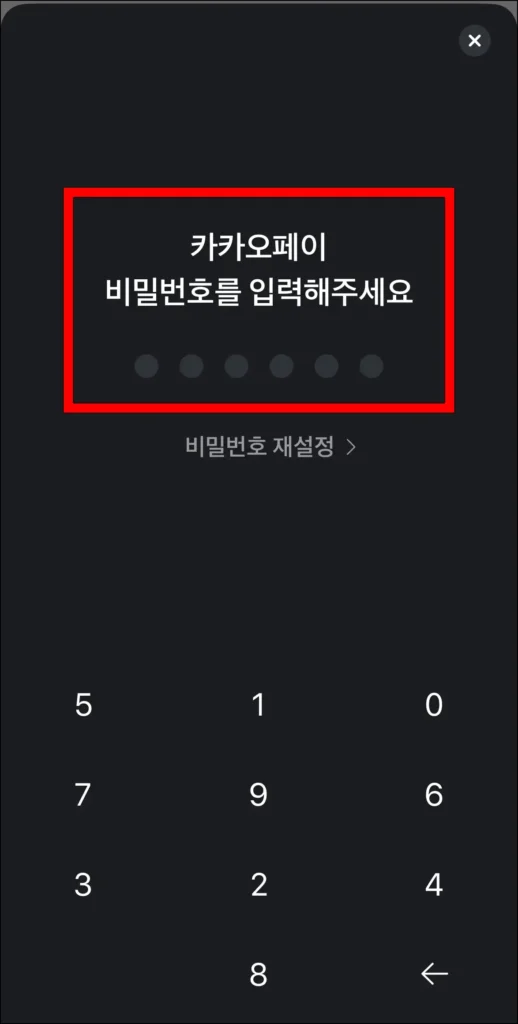 카카오페이 비밀번호를 입력