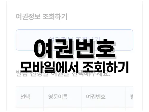 여권번호 모바일에서 조회하기