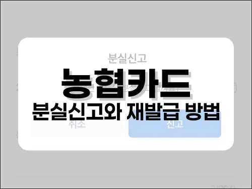 농협카드 분실신고와 재발급 방법