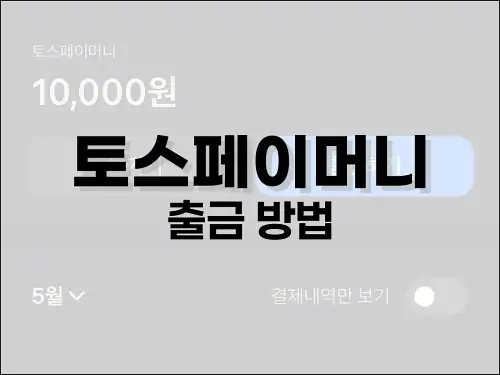 토스페이머니 출금 방법