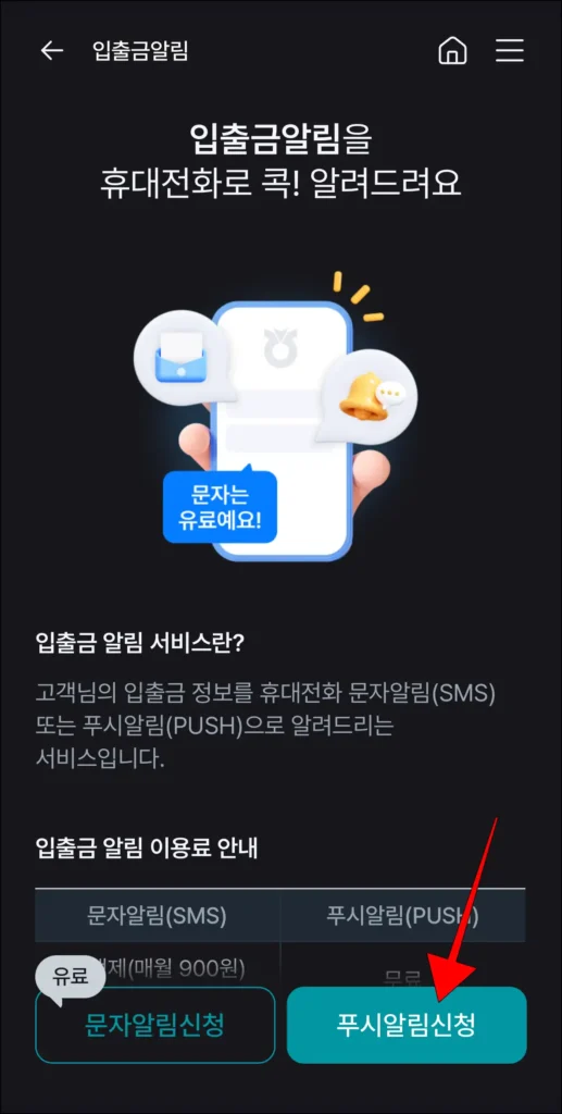 입출금 알림 종류 중 '푸시 알림 신청' 선택