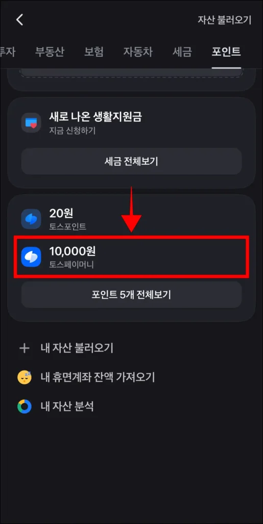 자산 메뉴의 포인트에서 '토스페이머니' 선택