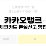카카오뱅크 체크카드 분실신고 방법