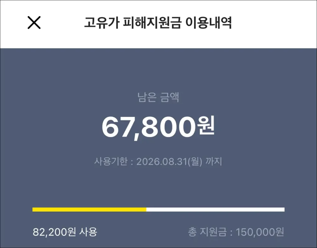 고유가 피해지원금 이용내역에 확인되는 남은 금액