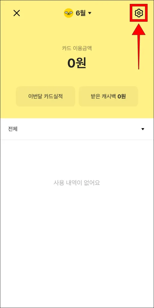 카드 이용내역 화면 상단의 톱니바퀴 버튼 선택