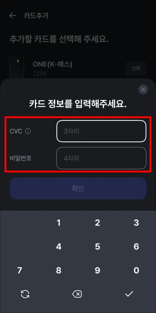 카드의 CVC와 비밀번호 입력